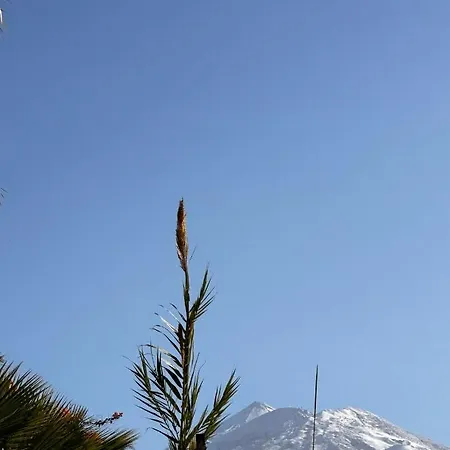 Apartment El Varadero Cozy Puerto de Santiago (Tenerife)